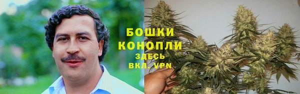 СК Лиски
