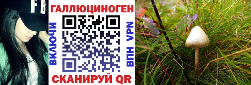 Галлюциногенные грибы Cubensis  Купить где  Мирный 
